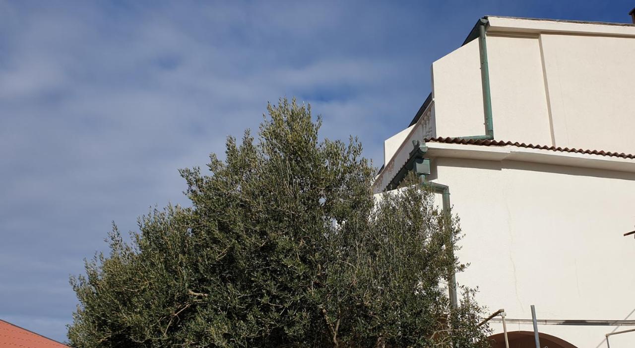 Bellavista Bed And Breakfast Pag Town Dış mekan fotoğraf